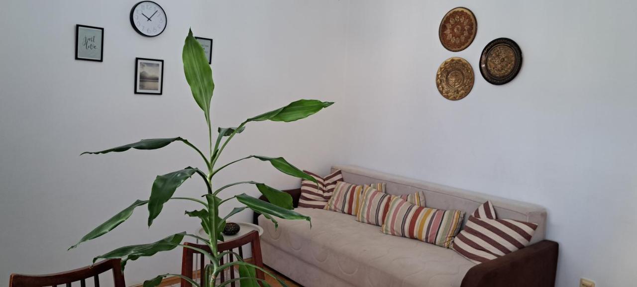 Apartment Bina Tivat Exteriör bild